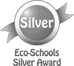 silver eco award