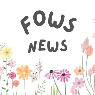 OWPS Summer Fair