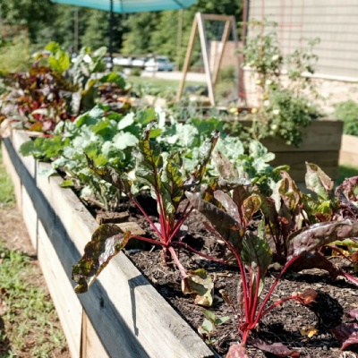 National Children's Gardening Week